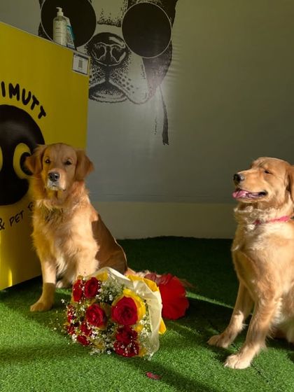 Happy Rose Day! Even if your boy isn't the most romantic, he'll still pose with flowers for you.