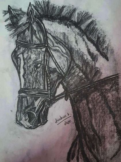 The finished charcoal sketch of a horse, showing the realistic details in the shading.