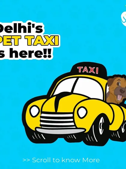 Our Delhi pet taxi is ready to roll. This graphic shows a happy dog enjoying the ride in one of our clean and safe vehicles, ready for its next adventure.