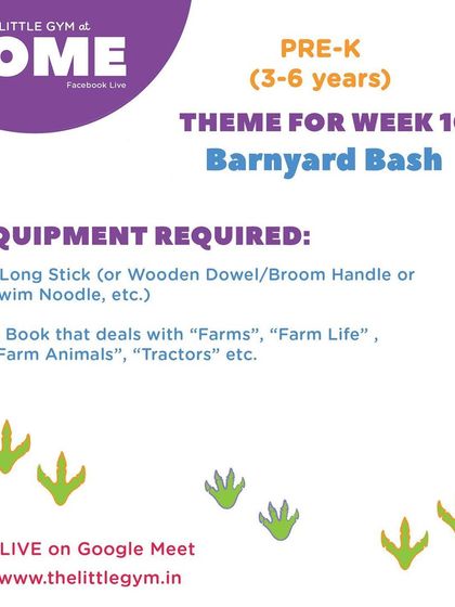 The Little Gym - Themed Kids' Camps Beyond the Gym Walls photo 16