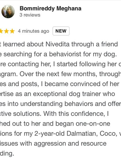 Confident Dogs - Canine Behavior Modification Real Dogs, Real Transformations photo 18