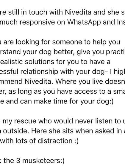 Confident Dogs - Canine Behavior Modification Real Dogs, Real Transformations photo 12