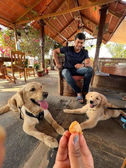 Poochkoo Mutts & Nutts - Dog-Friendly Cafe & Events Our Farm Cafe: Good Food & Chill Vibes photo 8