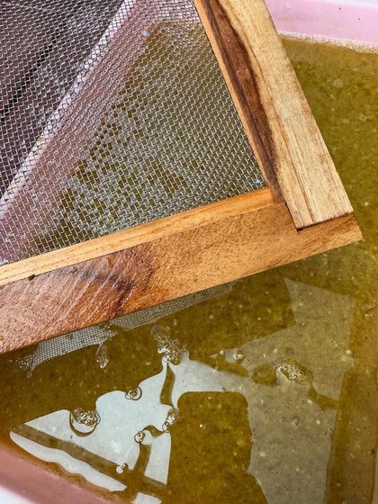 The first step in papermaking is creating the pulp. Here, shredded paper is blended with water. This green pulp is coloured with natural plant-based pigments.