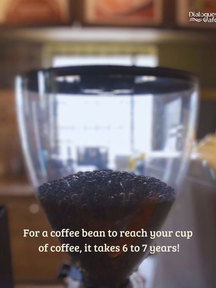 Did you know it can take 6 to 7 years for a coffee bean to reach your cup? We respect that long journey by brewing each cup with care and perfection.