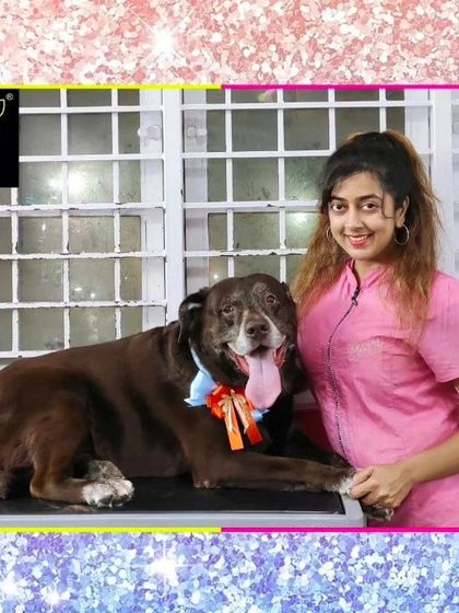 Fuzzy Wuzzy - Pet Grooming & Spa Spaniels, Retrievers & Large Breed Grooming photo 19