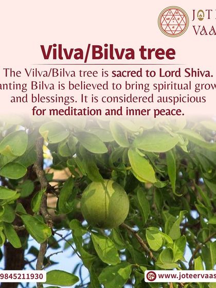 Joteer Vaastu - Astrological Consultation Vaastu Harmony with Nature photo 4