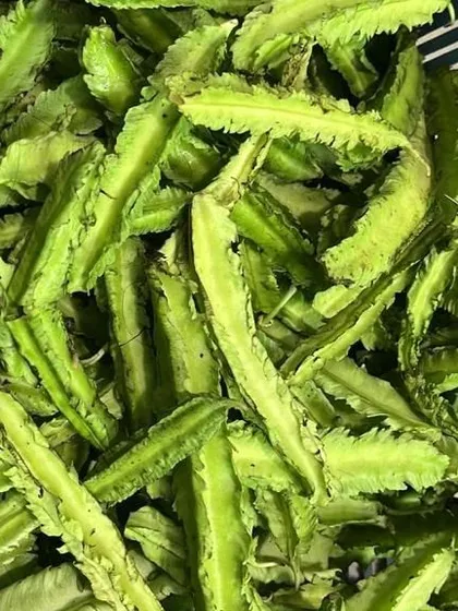 A close-up of the prepared winged beans. I sometimes offer them chopped to make cooking quicker for my customers.