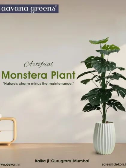 The classic Monstera plant, a favorite for modern interiors. Our artificial version captures the beauty of its iconic leaves without any need for watering or specific sunlight conditions. It’s an effortless way to add a touch of stylish greenery to your home or office.