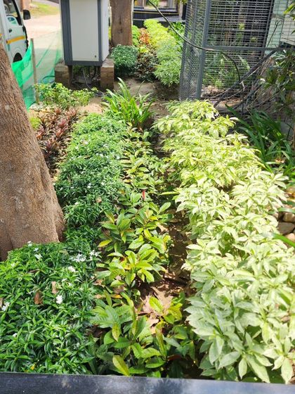 Delhi Gardner - Full-Service Landscaping Our Process: From Concept to Creation photo 22