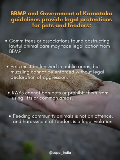 Cupa - Animal Cruelty Legal Aid & Advocacy Know Your Rights: A Guide for Feeders & Pet Owners photo 6