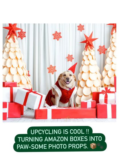 Rohit - Seasonal Mini-Sessions Festive Christmas Portraits photo 3