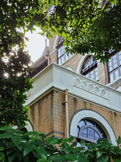 Sunlight filtering through the leaves of a tree, creating a beautiful dappled light effect on a heritage building.