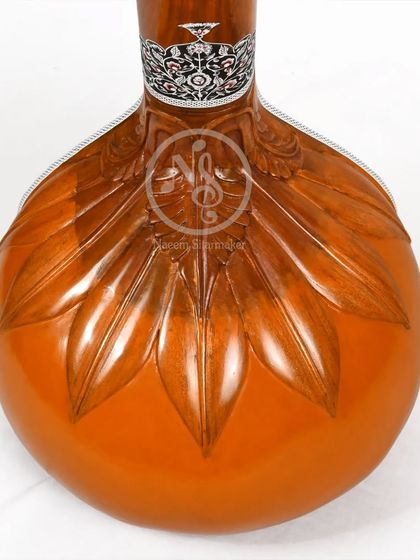 Tanpuras and Tanpuris photo 31