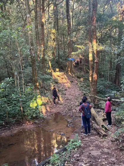 The trail to Kumara Parvatha takes you through dense forests and streams. Here, our group navigates a rocky patch.