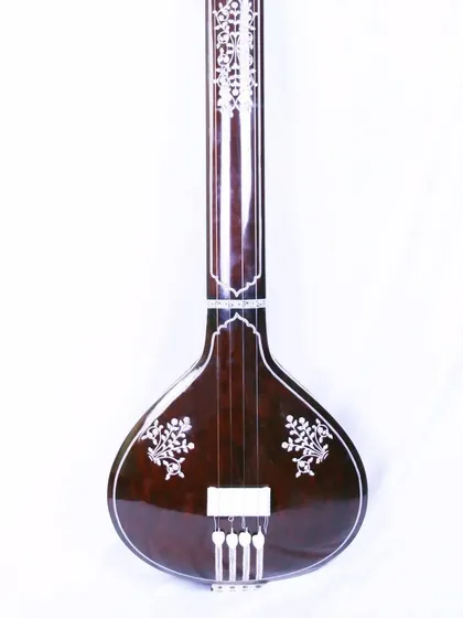 The front of the Manu Shrivastava style tanpura. The design is elegant and understated, putting the focus on the instrument's tone.