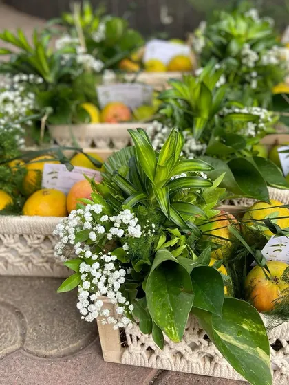 A more subtle and elegant take on our seasonal mango baskets. Here, the fresh mangoes are paired with delicate white baby's breath and lush green leaves, all arranged in a stylish macrame basket.