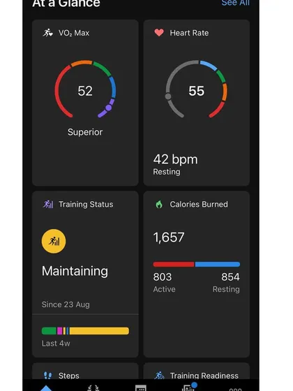 My stats showing a "Maintaining" status. This indicates that my training load is sufficient to maintain my current fitness level, but not necessarily to improve it.