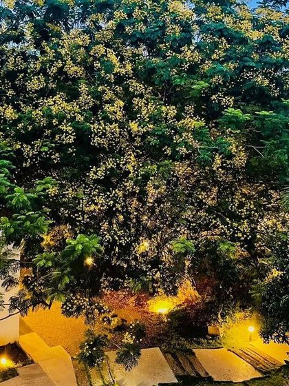 Ecoscapes Landscaping - Comprehensive Landscaping Services Grand Residential Estates photo 18