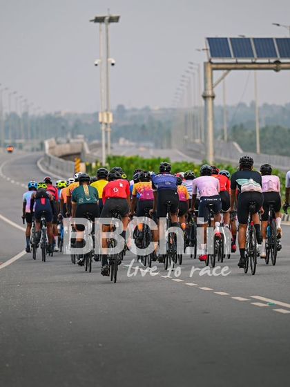 The peloton from behind, showing the long line of riders.