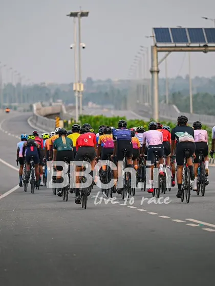 The peloton from behind, showing the long line of riders.