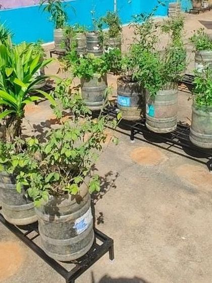 The Garden Hub - Garden Maintenance Garden Stands & Terrace Protection photo 4