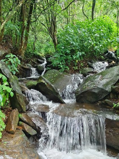 A clear stream flowing through the rocks on the Netravati trail. We always make sure to keep these water sources clean.