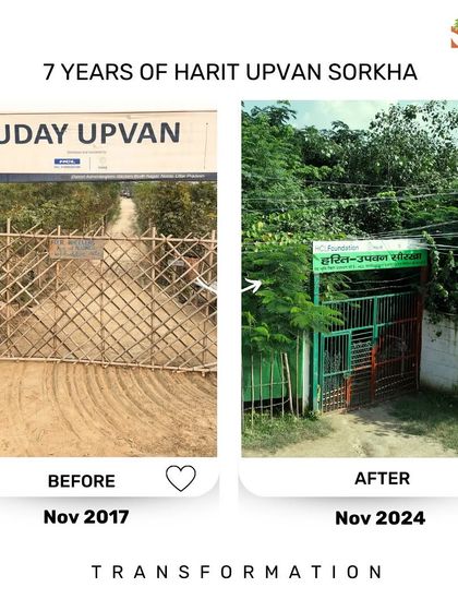 The entrance to our Uday Upvan at the Sorkha site tells a story of growth. The simple bamboo gate from 2017 has been replaced by a permanent structure, now enveloped by the lush forest that has grown around it over seven years.