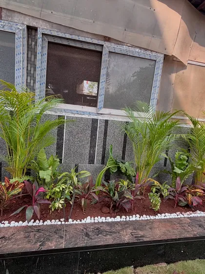 A close-up of the foundation planting at the Lodha villa, using a variety of textures and colors to beautify the base of the building.