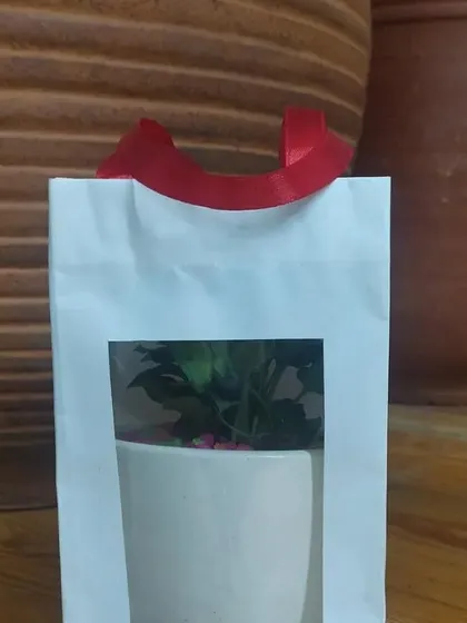 The simple and clean design of our gift bags ensures the focus remains on the beautiful plant inside.