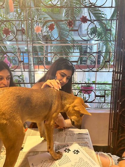 A participant pets a curious puppy that has climbed onto the table to inspect the art supplies.