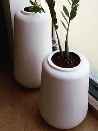Indoor Plant Styling