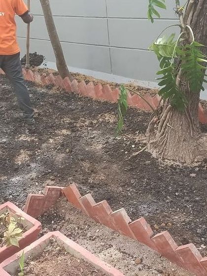 Greenium - Outdoor Landscaping & Garden Design Poolside & Backyard Sanctuaries photo 22