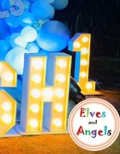 A close-up of the light-up marquee letters that spelled out 'DAKSH 1'.