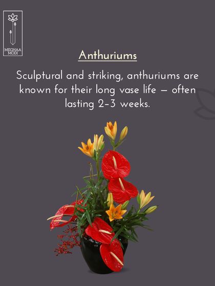 Anthuriums are sculptural, striking, and known for their long vase life. Learning which flowers last is crucial for professional work, and it's a topic I cover in depth.