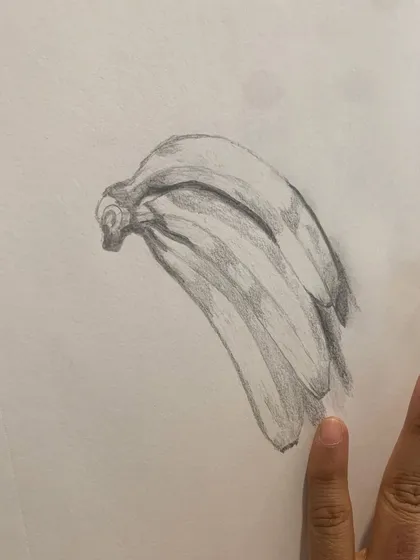 A beginner's still life sketch of bananas. We start with simple objects to teach the core principles of observation, shape, and shading.
