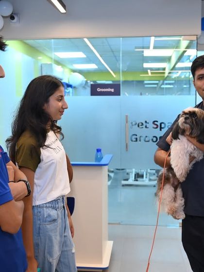 Zigly - Veterinary Services A Look Inside Our Hospitals photo 11