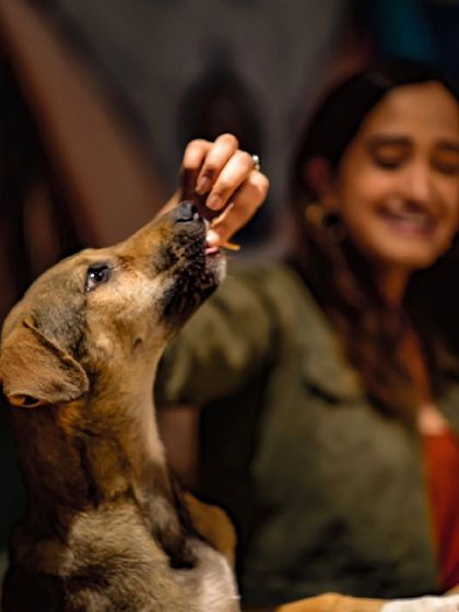 Another beautiful moment of a guest sharing a treat with one of our indie dogs.