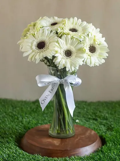 A simple and elegant vase of white gerbera daisies, tied with a custom Oven Fresh ribbon. A classic choice that signifies purity and cheerfulness.