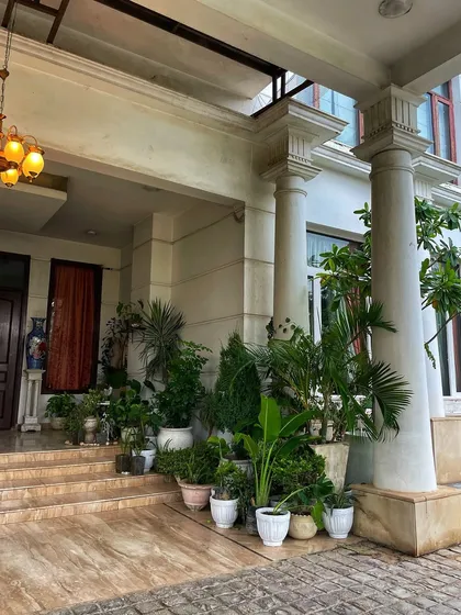 Another angle of the porch setup, showing how the cluster of plants creates a beautiful, natural-looking entrance. I mixed different textures and leaf shapes for visual interest.
