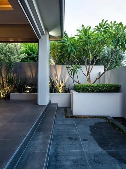 The right plants are key to a beautiful landscape. Here, a mature Champa tree in a raised planter becomes a living sculpture, perfectly complementing the modern architecture and materials of the home's patio.