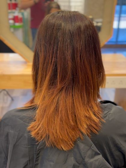 Ali Barbiere - Color Correction From Brassy & Warm to Cool Ash Tones photo 41