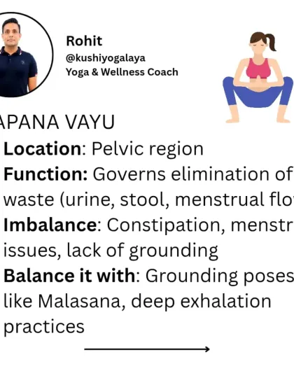 Rohit N - Yoga Teacher Training The Science of Yoga & Ayurveda photo 21