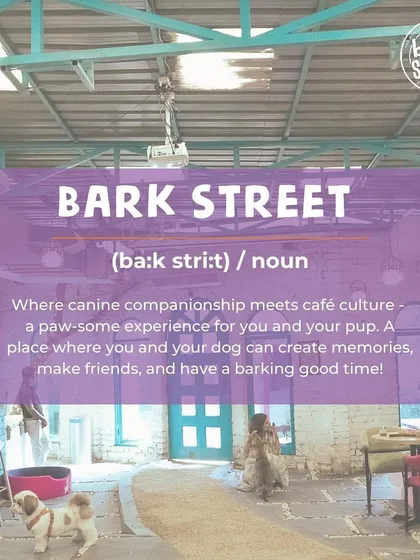 What is Bark Street? It's where canine companionship meets cafe culture. A place to make friends and have a barking good time.