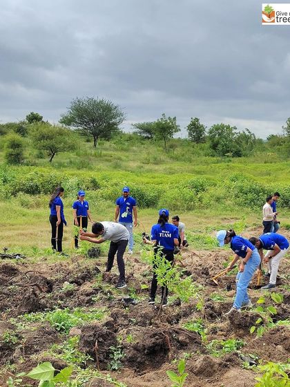 Volunteers from Honeywell carefully planting saplings at the Prayagdham site in Pune. Each tree is a step towards restoring the ecological balance of the region.