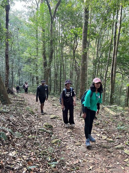 Trekkers walking through the beautiful, sun-dappled forest trail of Kumara Parvatha.
