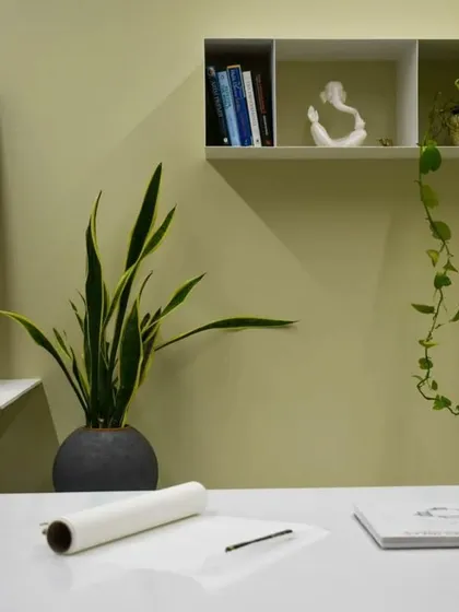 A detail shot from my office, showing how I use simple, clean shelving and indoor plants to add life and personality to a professional space.