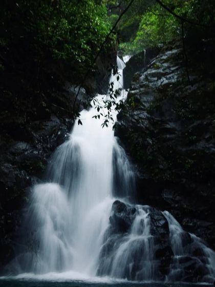 The milky white water of this secluded waterfall in Honnavara is a beautiful contrast to the dark rocks and lush greenery.