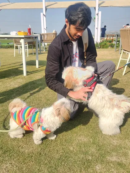 A guest sharing a sweet moment with two adorable dogs on the lawn. We welcome well-behaved pets to join in on the fun.