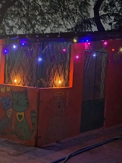 PetStepin - Pet-Friendly Events Quiet Zones for Noisy Festivals photo 10